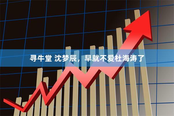 寻牛堂 沈梦辰，早就不爱杜海涛了