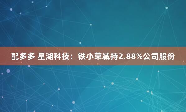 配多多 星湖科技：铁小荣减持2.88%公司股份