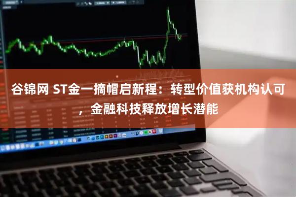谷锦网 ST金一摘帽启新程：转型价值获机构认可，金融科技释放增长潜能