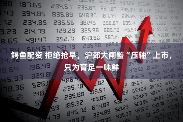 鳄鱼配资 拒绝抢早,沪郊大闸蟹“压轴”上市,只为育足一味鲜