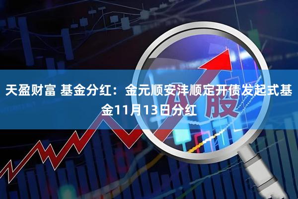 天盈财富 基金分红:金元顺安沣顺定开债发起式基金11月13日分红