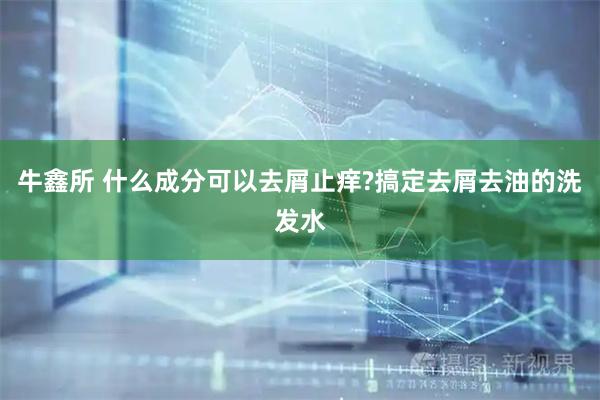 牛鑫所 什么成分可以去屑止痒?搞定去屑去油的洗发水