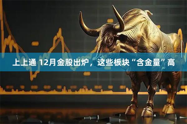 上上通 12月金股出炉，这些板块“含金量”高