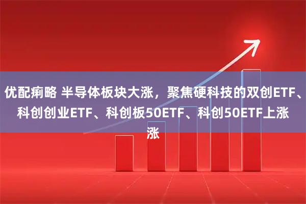 优配痢略 半导体板块大涨，聚焦硬科技的双创ETF、科创创业ETF、科创板50ETF、科创50ETF上涨